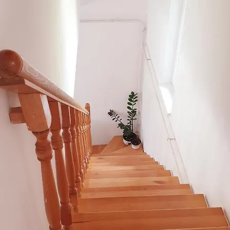 公寓 Valeria Apartman 巴拉顿扎佐